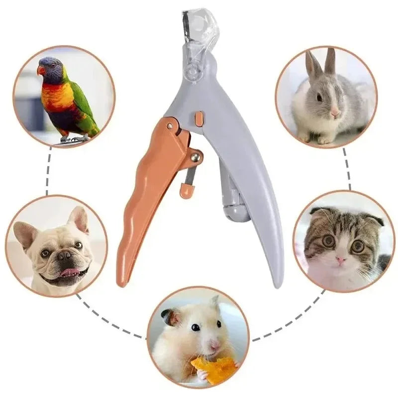 Professional Pet Nail Clipper Scissors With LED Light Cats, Dogs Nail Clippers [ 50% OFF ]