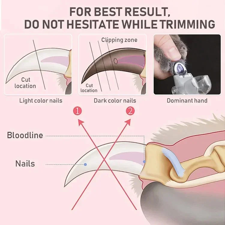 Professional Pet Nail Clipper Scissors With LED Light Cats, Dogs Nail Clippers [ 50% OFF ]